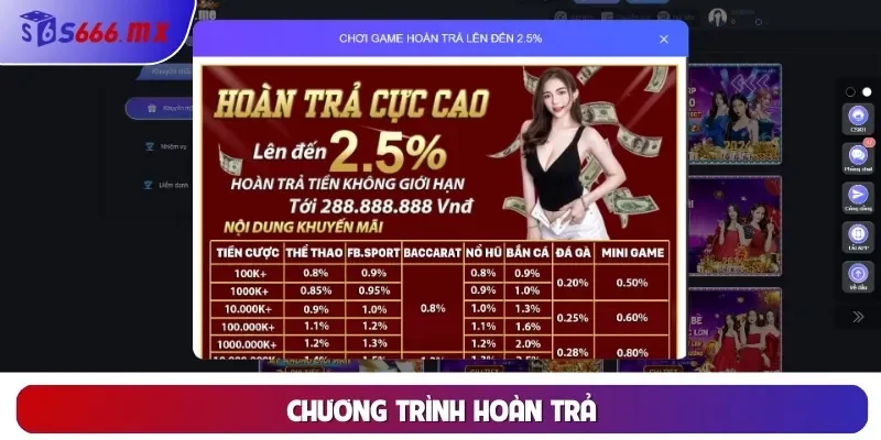 Chương trình hoàn trả